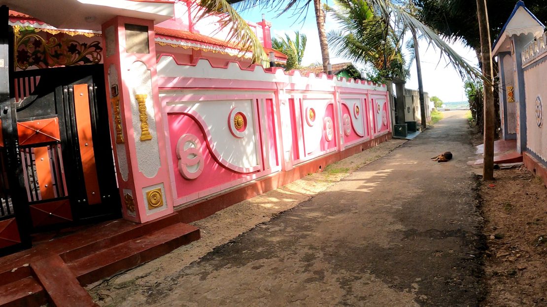 video image
