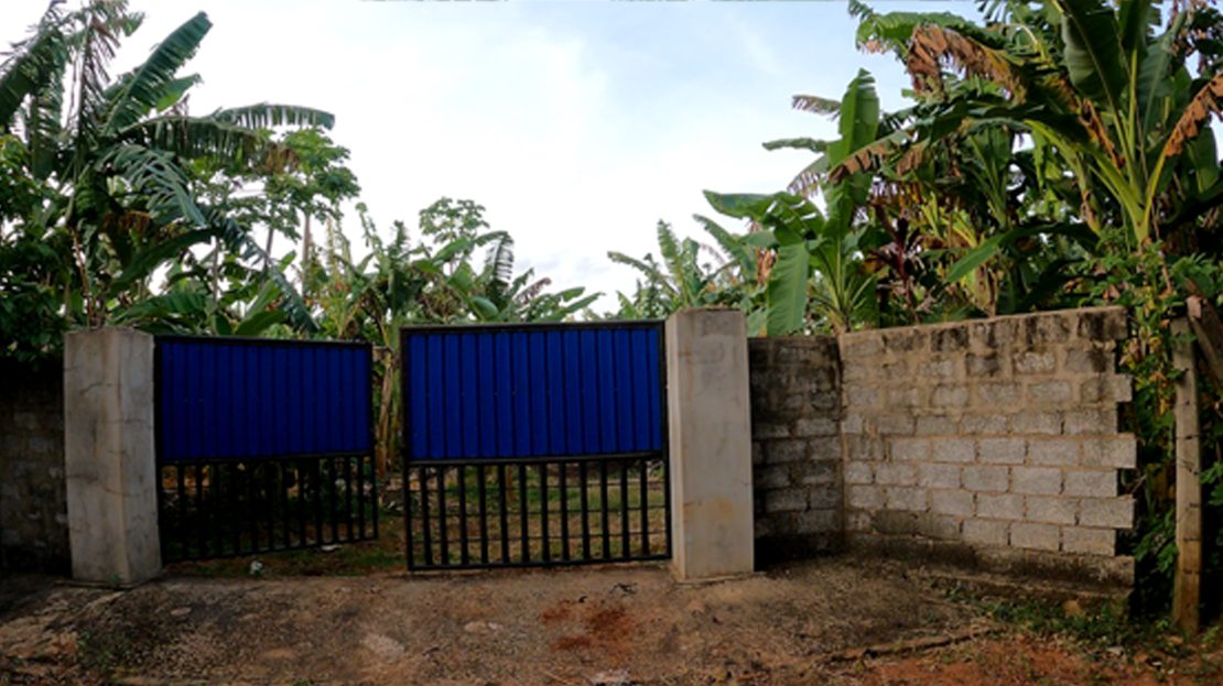 video image