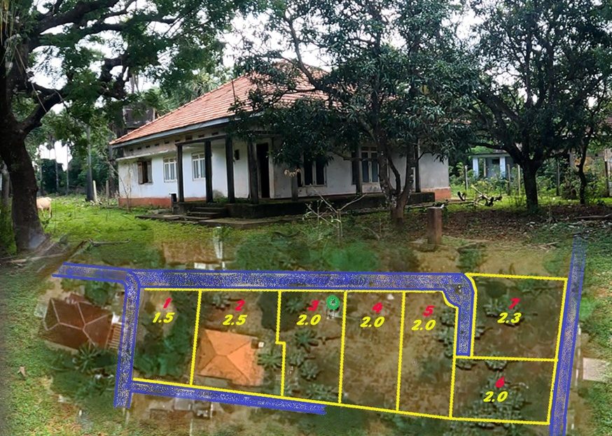 video image