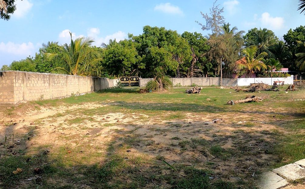 video image