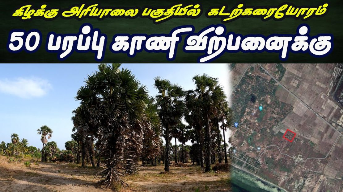 video image